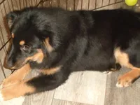 processed/ed975d11-cf7c-4339-b1b9-6260fdcfd076/listing/77513d87-d9db-42cd-b28e-eed4ae7856de/bdd3ff99-0e01-4d47-9c45-62f44fd0fe45