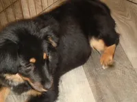 processed/ed975d11-cf7c-4339-b1b9-6260fdcfd076/listing/77513d87-d9db-42cd-b28e-eed4ae7856de/d850a6de-6ee8-460b-b1cc-bc99e097dc54