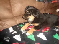 processed/ed975d11-cf7c-4339-b1b9-6260fdcfd076/listing/77513d87-d9db-42cd-b28e-eed4ae7856de/da469b22-a0ff-4c5f-968e-2562d5c5da64