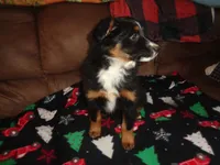 processed/ed975d11-cf7c-4339-b1b9-6260fdcfd076/listing/da36e32b-092b-49ce-a8a1-da4378ac5246/308c72fd-d86f-48b6-982f-8994e19a438d