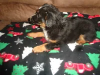 processed/ed975d11-cf7c-4339-b1b9-6260fdcfd076/listing/da36e32b-092b-49ce-a8a1-da4378ac5246/4f4d34c5-2583-4ee5-ae72-81e3d15eda1f