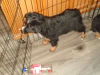 processed/ed975d11-cf7c-4339-b1b9-6260fdcfd076/listing/da36e32b-092b-49ce-a8a1-da4378ac5246/703889b3-525c-4d14-8162-827cf3f9b475