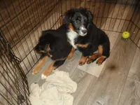 processed/ed975d11-cf7c-4339-b1b9-6260fdcfd076/listing/da36e32b-092b-49ce-a8a1-da4378ac5246/a48dd000-9cde-42c2-9f09-cf88c4b31a95