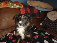 processed/ed975d11-cf7c-4339-b1b9-6260fdcfd076/listing/da36e32b-092b-49ce-a8a1-da4378ac5246/aa7847aa-b0df-4b7d-aaf9-53ae4226b6b8