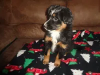 processed/ed975d11-cf7c-4339-b1b9-6260fdcfd076/listing/da36e32b-092b-49ce-a8a1-da4378ac5246/bd2426f2-c055-4820-91e4-dd3462badfdc