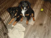 processed/ed975d11-cf7c-4339-b1b9-6260fdcfd076/listing/da36e32b-092b-49ce-a8a1-da4378ac5246/ec0892b0-11e2-42cc-b5d6-d0f0eb0277b6