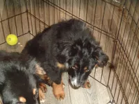 processed/ed975d11-cf7c-4339-b1b9-6260fdcfd076/listing/da36e32b-092b-49ce-a8a1-da4378ac5246/f69aa0ae-a049-4b8b-b573-391eec138ab3