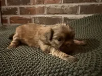 processed/ed991489-3ed3-41df-833d-98b66e951fcb/listing/1312a9a3-0c21-4910-a941-9a48f6e0c4f9/2836bd37-2e0b-451a-98a1-0e61525755f4