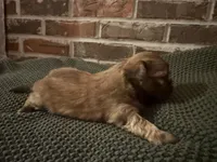 processed/ed991489-3ed3-41df-833d-98b66e951fcb/listing/1312a9a3-0c21-4910-a941-9a48f6e0c4f9/6bcab482-c4f9-4862-a2e0-21f0b47af17e