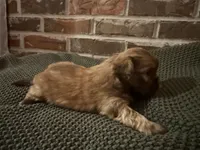 processed/ed991489-3ed3-41df-833d-98b66e951fcb/listing/1312a9a3-0c21-4910-a941-9a48f6e0c4f9/8a55556c-374e-40e7-a1b8-6a088461ac2d