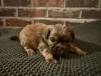 processed/ed991489-3ed3-41df-833d-98b66e951fcb/listing/1312a9a3-0c21-4910-a941-9a48f6e0c4f9/a64de58e-14b6-4481-a2b7-5740eace6a35