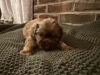 processed/ed991489-3ed3-41df-833d-98b66e951fcb/listing/1312a9a3-0c21-4910-a941-9a48f6e0c4f9/b11f358e-59a5-4a90-9902-1ff62f52b449