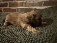 processed/ed991489-3ed3-41df-833d-98b66e951fcb/listing/1312a9a3-0c21-4910-a941-9a48f6e0c4f9/e8f1b638-31df-4c23-8b05-27e4ff8b4ed9