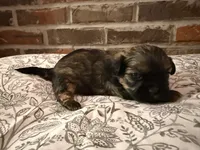 processed/ed991489-3ed3-41df-833d-98b66e951fcb/listing/39bb7439-6125-413f-851d-54210153cef8/0c9a176e-8b11-4565-85db-95d30679b456