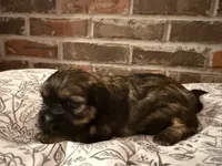 processed/ed991489-3ed3-41df-833d-98b66e951fcb/listing/39bb7439-6125-413f-851d-54210153cef8/0ce21456-5383-40e2-9e26-0412ef1afca7