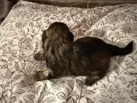 processed/ed991489-3ed3-41df-833d-98b66e951fcb/listing/39bb7439-6125-413f-851d-54210153cef8/140ead28-dc7c-4649-b675-f17d17cd9e2e