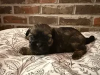 processed/ed991489-3ed3-41df-833d-98b66e951fcb/listing/39bb7439-6125-413f-851d-54210153cef8/2ea5ec8f-3a0b-44cf-8aa0-22bec7258c44