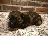 processed/ed991489-3ed3-41df-833d-98b66e951fcb/listing/39bb7439-6125-413f-851d-54210153cef8/5117c99a-1137-4994-9e26-7519a0122925