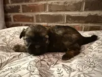 processed/ed991489-3ed3-41df-833d-98b66e951fcb/listing/39bb7439-6125-413f-851d-54210153cef8/c1e12c60-e771-42f7-9919-c94070f8b297