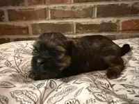 processed/ed991489-3ed3-41df-833d-98b66e951fcb/listing/39bb7439-6125-413f-851d-54210153cef8/d3db5958-31d1-49a7-8568-f852c8f2ee26