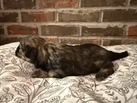 processed/ed991489-3ed3-41df-833d-98b66e951fcb/listing/39bb7439-6125-413f-851d-54210153cef8/f0acec4a-64d7-467e-b66c-77fa6566fbf9