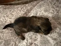 processed/ed991489-3ed3-41df-833d-98b66e951fcb/listing/39bb7439-6125-413f-851d-54210153cef8/fc33381d-3f95-429a-a5a1-64419234f08d