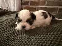 processed/ed991489-3ed3-41df-833d-98b66e951fcb/listing/4e83a5e6-5439-4091-a5a3-c59bf4a96ec5/7f8ee423-6121-49dc-84f2-5fa6b687ac66