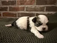 processed/ed991489-3ed3-41df-833d-98b66e951fcb/listing/4e83a5e6-5439-4091-a5a3-c59bf4a96ec5/8d4a424e-431f-4154-abc1-9f795f62d9cf