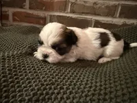 processed/ed991489-3ed3-41df-833d-98b66e951fcb/listing/4e83a5e6-5439-4091-a5a3-c59bf4a96ec5/a3477f62-fdd1-4d82-9b12-4e3162516563