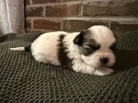 processed/ed991489-3ed3-41df-833d-98b66e951fcb/listing/4e83a5e6-5439-4091-a5a3-c59bf4a96ec5/b010eada-8c40-4f63-86de-f4ab4d2a9f34