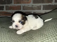 processed/ed991489-3ed3-41df-833d-98b66e951fcb/listing/4e83a5e6-5439-4091-a5a3-c59bf4a96ec5/b65c989c-7824-496d-bfc7-d592d4f28b5b