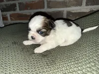 processed/ed991489-3ed3-41df-833d-98b66e951fcb/listing/4e83a5e6-5439-4091-a5a3-c59bf4a96ec5/ddf1301e-ddd3-4759-b9b9-431e7cfb304e