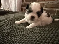 processed/ed991489-3ed3-41df-833d-98b66e951fcb/listing/4e83a5e6-5439-4091-a5a3-c59bf4a96ec5/e4d7122e-d68d-4c32-a3f9-09e37bd7cf04