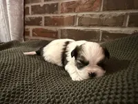 processed/ed991489-3ed3-41df-833d-98b66e951fcb/listing/4e83a5e6-5439-4091-a5a3-c59bf4a96ec5/f607b8d2-eccc-4d31-8429-a10d7c32b2e4