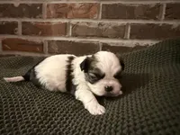 processed/ed991489-3ed3-41df-833d-98b66e951fcb/listing/4e83a5e6-5439-4091-a5a3-c59bf4a96ec5/fe01936b-f41c-4bf6-b55c-10000491a543