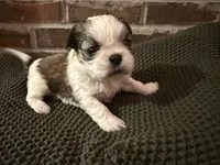 processed/ed991489-3ed3-41df-833d-98b66e951fcb/listing/8010b2af-ac64-4968-9b73-db681536448d/46c33a3d-de39-45c8-bde0-e58adc40f7ba