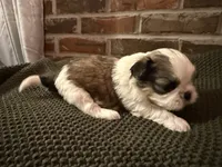 processed/ed991489-3ed3-41df-833d-98b66e951fcb/listing/8010b2af-ac64-4968-9b73-db681536448d/66b84ae3-ed66-4f95-93d7-3f758d472f9a