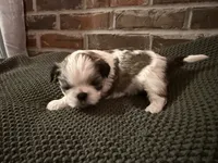 processed/ed991489-3ed3-41df-833d-98b66e951fcb/listing/8010b2af-ac64-4968-9b73-db681536448d/73c725d6-c31a-4581-9681-f8bc641fcdd6