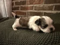 processed/ed991489-3ed3-41df-833d-98b66e951fcb/listing/8010b2af-ac64-4968-9b73-db681536448d/7668f8f4-5514-4dfe-b038-c96b4116c458