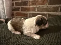 processed/ed991489-3ed3-41df-833d-98b66e951fcb/listing/8010b2af-ac64-4968-9b73-db681536448d/81a7cf16-2011-4e06-befd-48952c4380b6