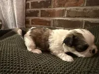 processed/ed991489-3ed3-41df-833d-98b66e951fcb/listing/8010b2af-ac64-4968-9b73-db681536448d/87749ce6-6674-42cd-a14a-9330b2125b98