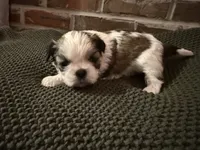 processed/ed991489-3ed3-41df-833d-98b66e951fcb/listing/8010b2af-ac64-4968-9b73-db681536448d/c3d15eff-10d2-4da7-84a3-300b963f60ae