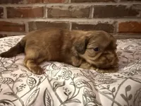 processed/ed991489-3ed3-41df-833d-98b66e951fcb/listing/b14d4449-1569-4b23-a275-f9695711042c/2c9aba23-a74b-42ba-98bf-b12d1a5f714e