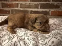 processed/ed991489-3ed3-41df-833d-98b66e951fcb/listing/b14d4449-1569-4b23-a275-f9695711042c/7056794b-31b4-4b07-bfae-53808fa09712