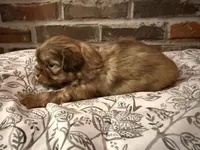 processed/ed991489-3ed3-41df-833d-98b66e951fcb/listing/b14d4449-1569-4b23-a275-f9695711042c/bb3ca079-ba90-4ce8-aa89-c85f810b4e2c