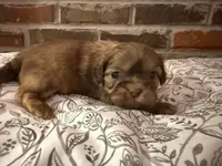 processed/ed991489-3ed3-41df-833d-98b66e951fcb/listing/b14d4449-1569-4b23-a275-f9695711042c/d5be9f33-037c-483a-be0b-a3cfeeb931c8