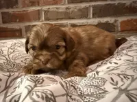 processed/ed991489-3ed3-41df-833d-98b66e951fcb/listing/b14d4449-1569-4b23-a275-f9695711042c/df905fe5-b76b-4336-9645-84b9fd9aa028