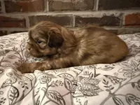 processed/ed991489-3ed3-41df-833d-98b66e951fcb/listing/b14d4449-1569-4b23-a275-f9695711042c/e107f245-8c15-4f94-9cc3-d530433a819f