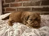 processed/ed991489-3ed3-41df-833d-98b66e951fcb/listing/b14d4449-1569-4b23-a275-f9695711042c/e83746a0-edad-415e-9818-789912e6dd04