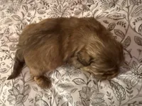 processed/ed991489-3ed3-41df-833d-98b66e951fcb/listing/b14d4449-1569-4b23-a275-f9695711042c/fcb8eb0c-4b89-4fdb-bdd5-f2064a4fe32f